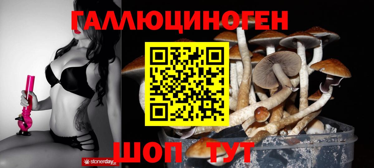 Серпухов  Псилоцибиновые грибы Cubensis  Вход с VPN 